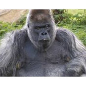 Phil Brett's photo