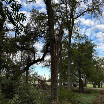 Solution Tree Service LLC