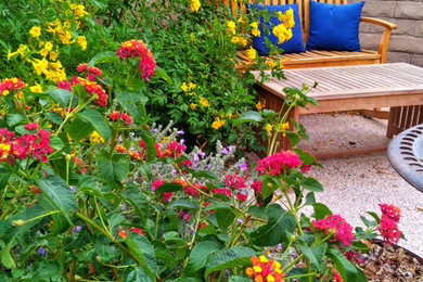 Photo of a mid-sized full sun backyard landscaping in Las Vegas.