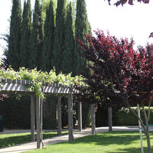Outside