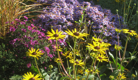 Ein schöner Garten im Herbst – mit diesen 11 Ideen gelingt er!