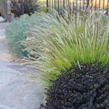 Landscape Ideas
