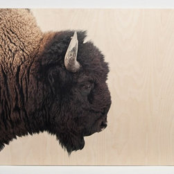 American Bison Large Wall Art - Paintings