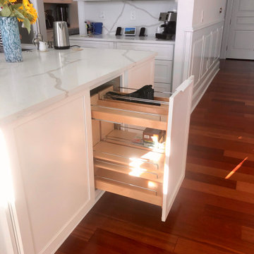 Transitional Kitchen Remodel Done in a Snow Color