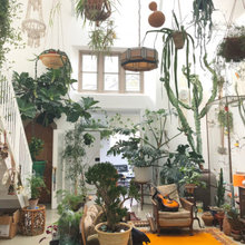 plants!