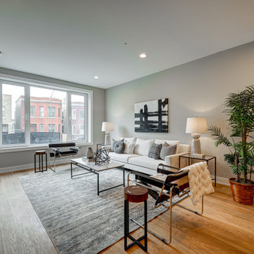 2448 W Diversey - New Construction Development