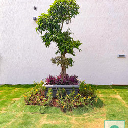 Landscape, Terrace Garden at Laggere, Bangalore - Products