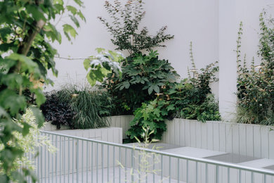 Exemple d'une terrasse avec des plantes en pots arrière tendance de taille moyenne avec du carrelage.