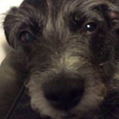 Holly Shearman's photo