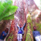 Alon Ben-ami's photo