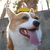 Ryan Hsuehさんの写真