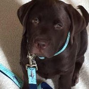 Chad Newberger's photo