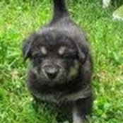 Beth Anne Wachowiak's photo