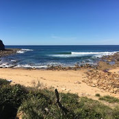 tivel's photo