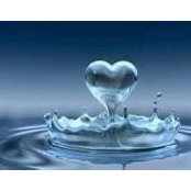 Mary Davis's photo