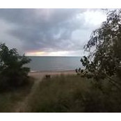 Foto von Patty McEathron