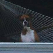 Mary Newkirk Stephens's photo