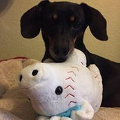Kateri Shirley's photo