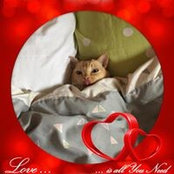Wendy Jayne White's photo