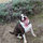 ryan_seelbach