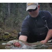 Raven Dealer Steelhead Tackle's photo