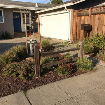 Lawn replacement