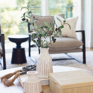 Project Serenity, Design Only Package