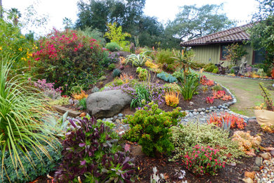 サンディエゴにあるトラディショナルスタイルのおしゃれな庭の写真