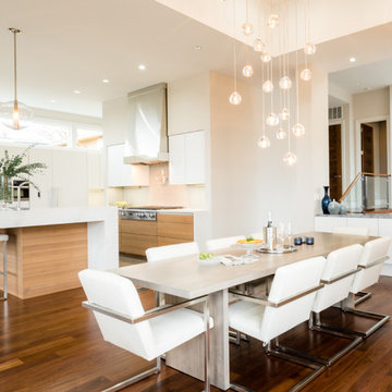 Monsoon I Insert Range Hood