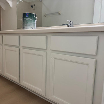 Professional painting. Clean finish. Real results.