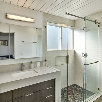 Sunnyvale Eichler - whole house remodel