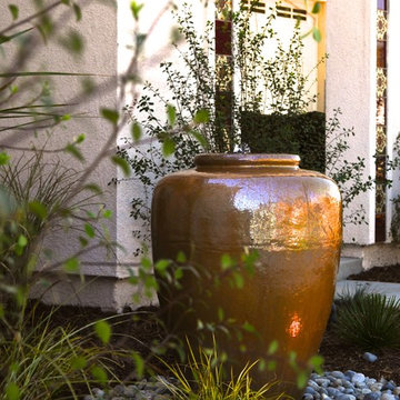 La Mesa- front yard