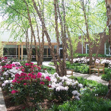 Garden Spaces