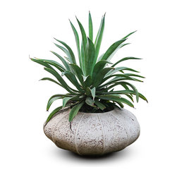 In house decor artifacts - Products