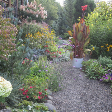 Rustic Cabin Cottage Garden