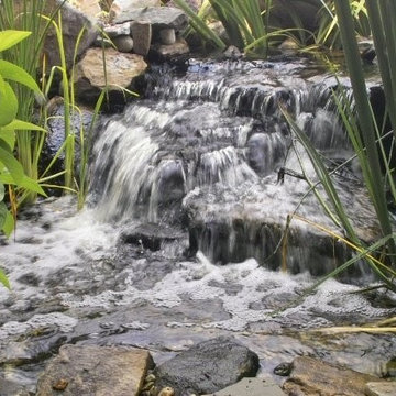 Pond builds