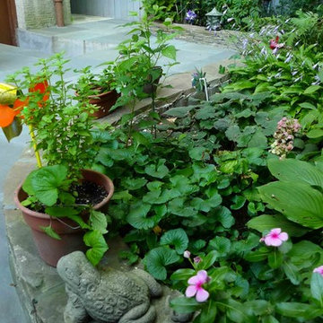 Small Shady Garden Brooklyn