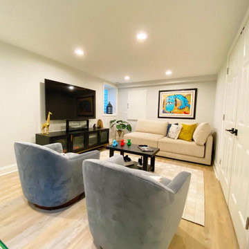 Basement Remodel