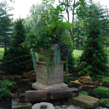 Landscape Ideas