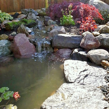 Ponds