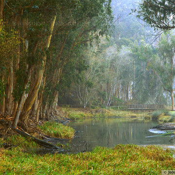 SWEET SPRINGS AFTER THE RAINS by JoJo Shaiken