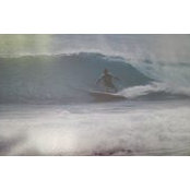 Alastair Stuart-White's photo