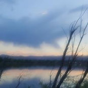 Michael Austin's photo