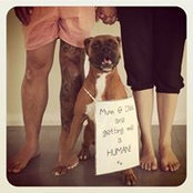 Foto de Roslyn Bui
