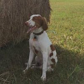 Jake Ford's photo