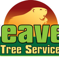 Beaver Tree Services LLC