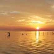 Lee Mackin's photo