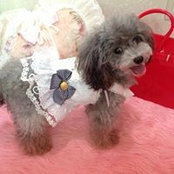Nishimura Akemi's photo