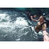 Ryan Wells's photo