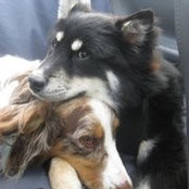 Sue Stevenson's photo